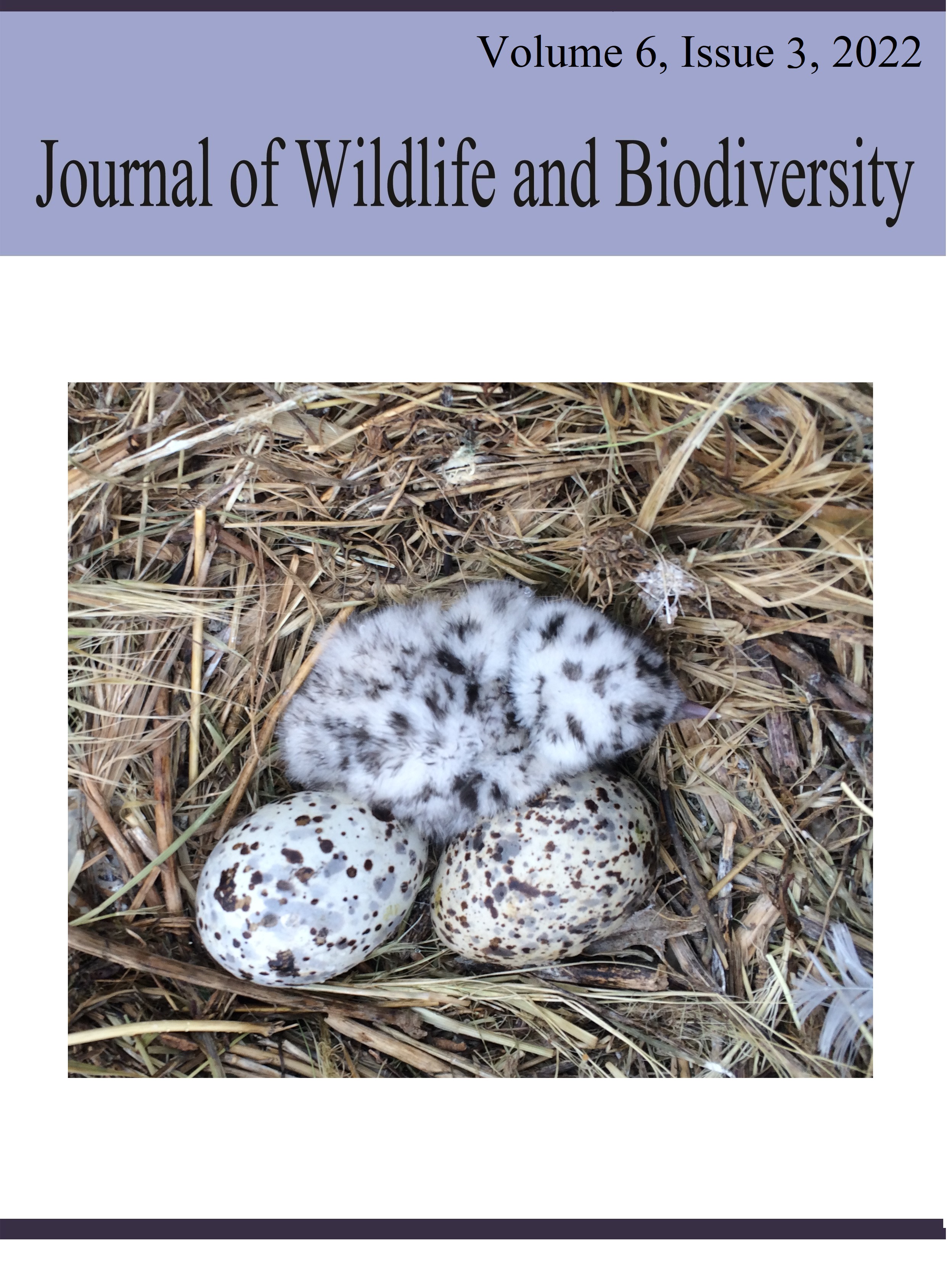 					View Vol. 6 No. 3 (2022): Journal of Wildlife and Biodiversity 
				
