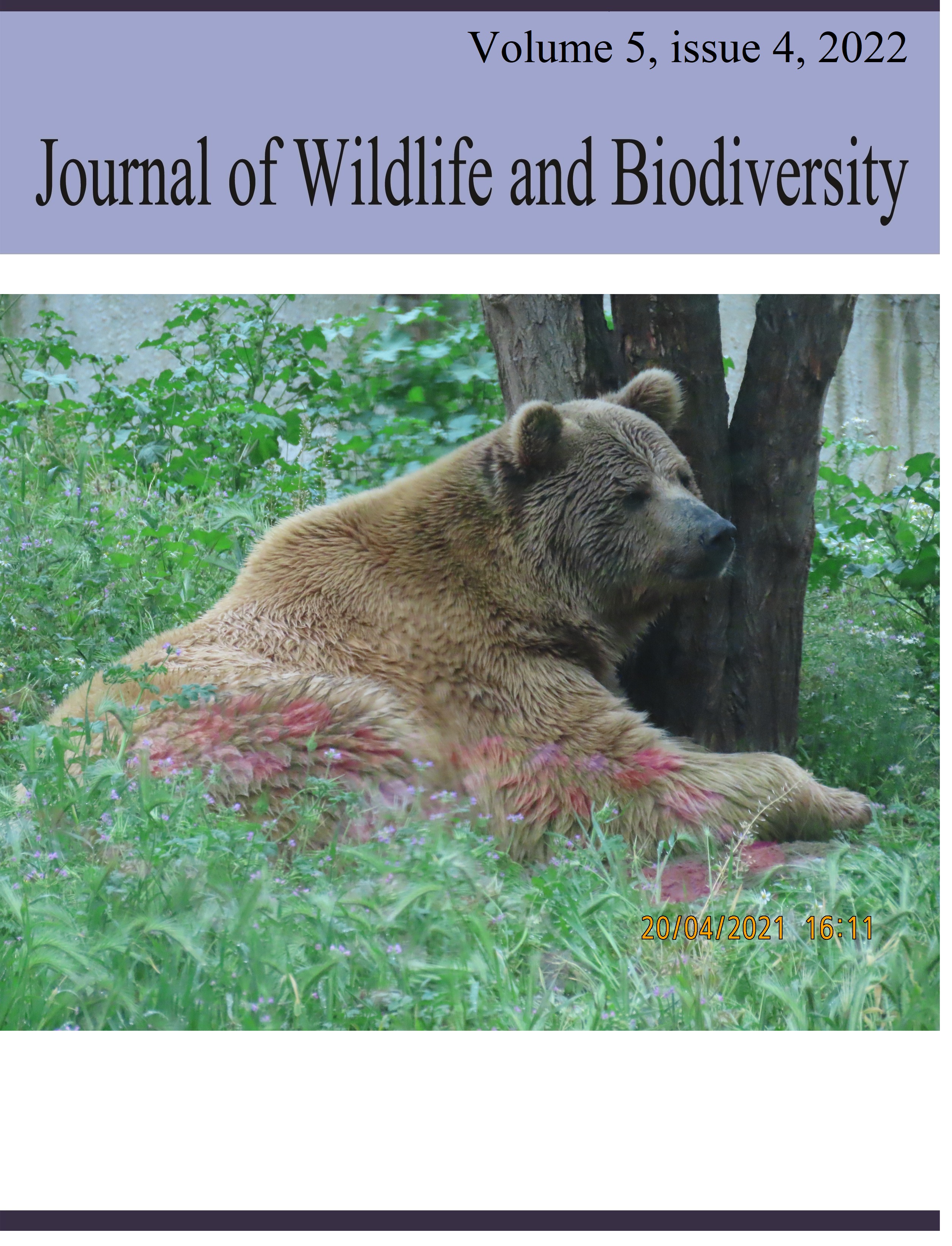 					View Vol. 6 No. 4 (2022): Journal of Wildlife and Biodiversity 
				