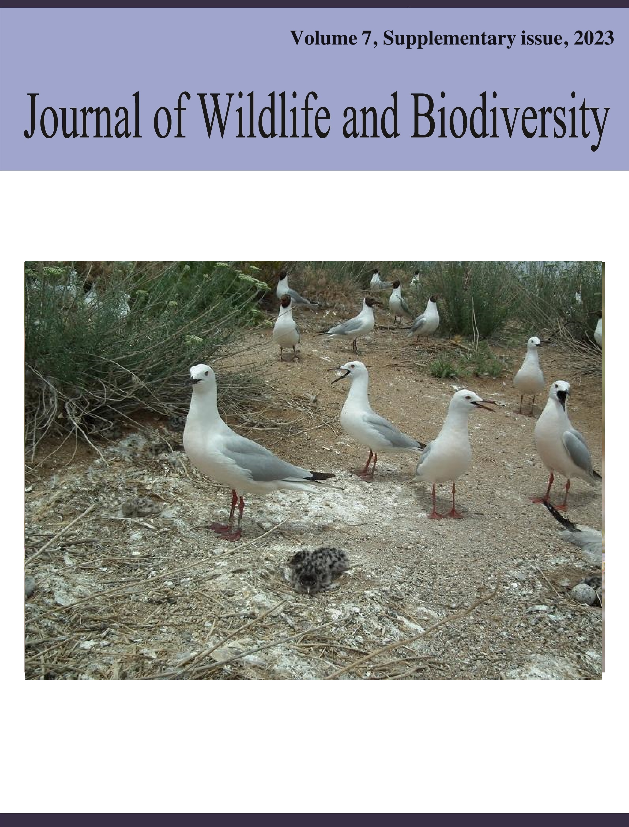 					View Vol. 7 No. supplementary issue (2023): Journal of Wildlife and Biodiversity
				